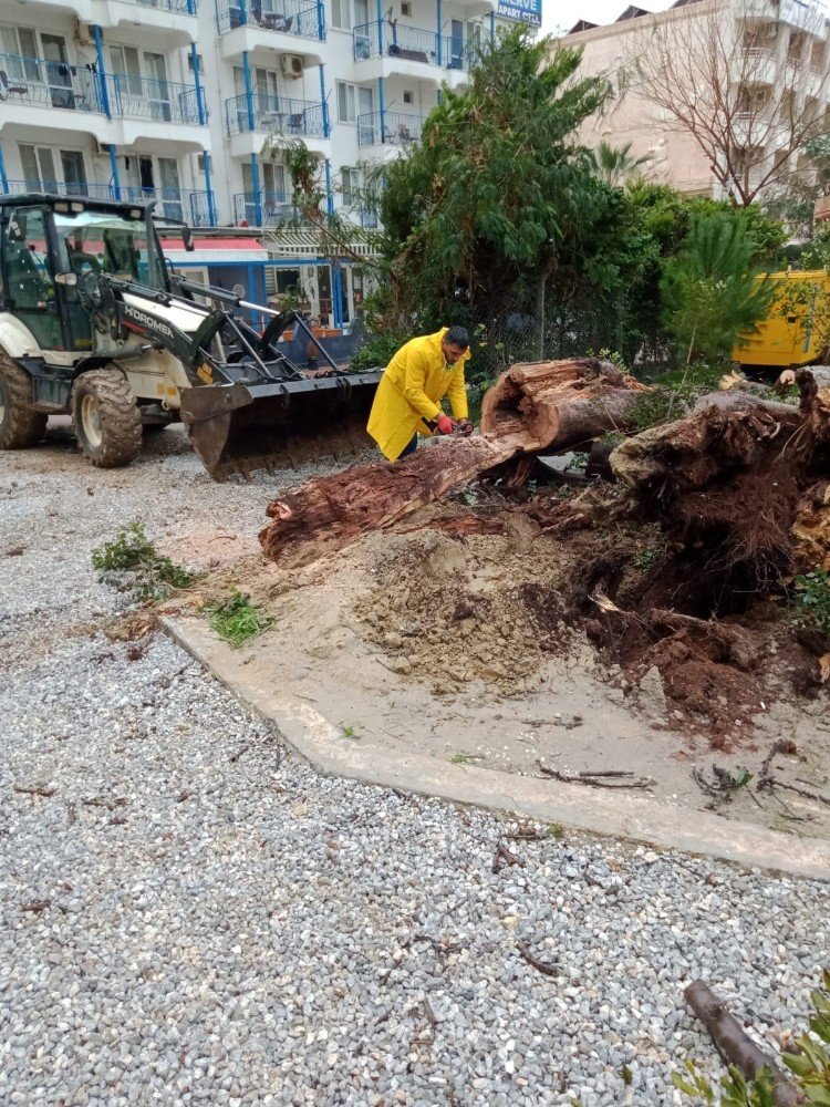 Didim Belediyesi ya��� sonras� olumsuzluklar� an�nda giderdi